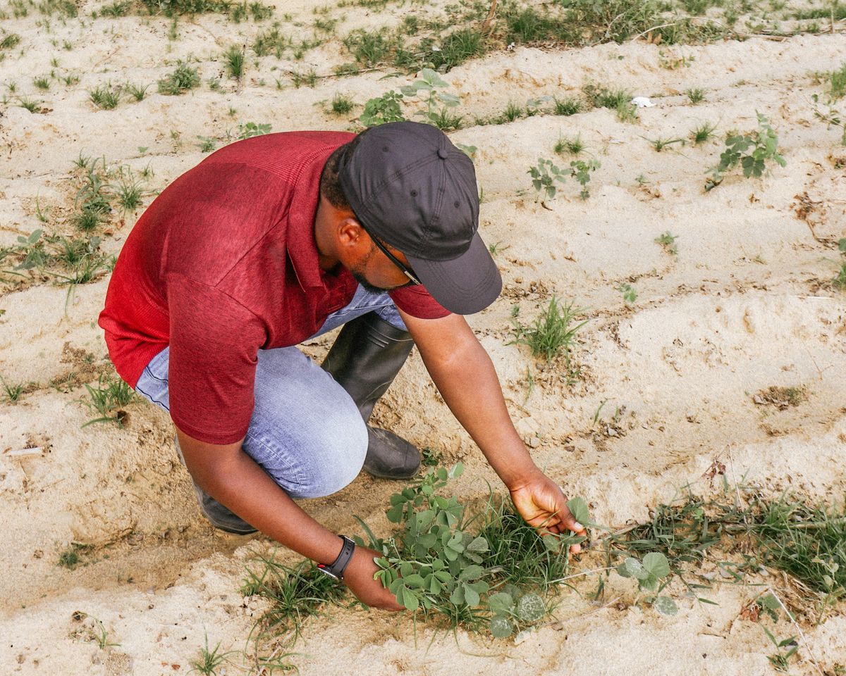 Renalytica field enumerator conducting primary agricultural survey in Nigeria